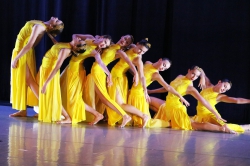 20   Fusion 07
